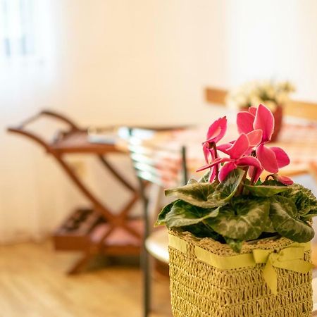 Apartments Mirjana Pula Ngoại thất bức ảnh