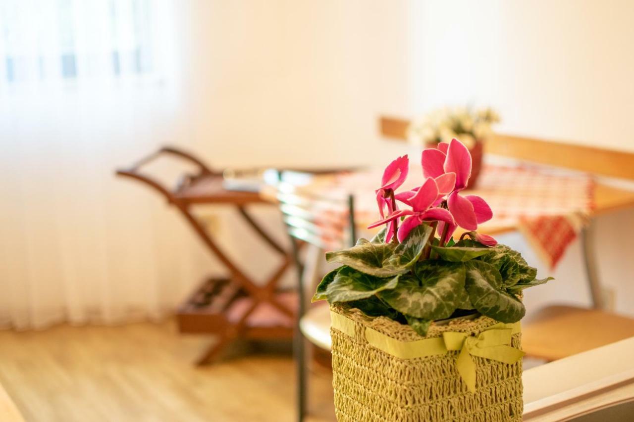 Apartments Mirjana Pula Ngoại thất bức ảnh