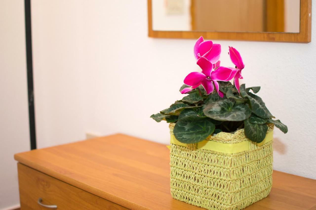Apartments Mirjana Pula Ngoại thất bức ảnh